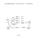 NUCLEIC ACID SEQUENCING diagram and image