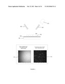 NUCLEIC ACID SEQUENCING diagram and image