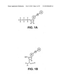 Releasable nonvolatile mass-label molecules diagram and image