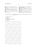 Solid Support for HCV Detection diagram and image