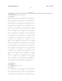 Solid Support for HCV Detection diagram and image