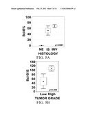 DETECTING BCL-B EXPRESSION IN CANCER AND USES THEREOF diagram and image