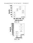 DETECTING BCL-B EXPRESSION IN CANCER AND USES THEREOF diagram and image