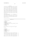 DETECTING BCL-B EXPRESSION IN CANCER AND USES THEREOF diagram and image