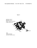 MODIFIED RELAXIN POLYPEPTIDES AND THEIR USES diagram and image