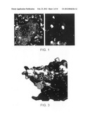 METHODS FOR TREATING OSTEOCLAST-RELATED DISEASE, COMPOUNDS AND     COMPOSITIONS THEREOF diagram and image