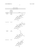 COMPOSITION COMPRISING AN ANTIBIOTIC AND A CORTICOSTEROID diagram and image