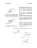 COMPOSITION COMPRISING AN ANTIBIOTIC AND A CORTICOSTEROID diagram and image