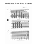 MODULATORS OF NOD1 AND NOD2 SIGNALING, METHODS OF IDENTIFYING  MODULATORS     OF NOD1 AND NOD2 SIGNALING, AND USES THEREOF diagram and image