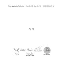 PROTEIN CHARGE REGULATOR AND PROTEIN-ENCAPSULATING POLYMER MICELLE COMPLEX diagram and image