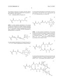 Monomers and Macromers for Forming Hydrogels diagram and image