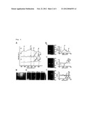 BODY TISSUE IMAGING USING RAMAN SCATTERING LIGHT diagram and image