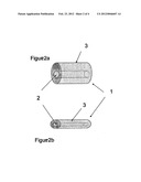 PLUG TO BE INTRODUCED INTO A PASSAGE SUCH AS A NASAL PASSAGE OR EAR CANAL diagram and image