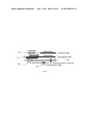 SENSOR SYSTEM WITH PLASMONIC NANO-ANTENNA ARRAY diagram and image