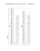 PRINTING STRUCTURE OF MEDIUM SURFACE ON WHICH DOT PATTERN IS FORMED BY     PRINTING, PRINTING METHOD, AND ITS READING METHOD diagram and image