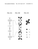 SIGNAL PROCESSING CIRCUIT AND METHOD FOR DRIVING THE SAME diagram and image