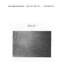 Electrode for rechargeable lithium battery, method of preparing same, and     rechargeable lithium battery including same diagram and image