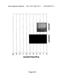 MOLECULARLY IMPRINTED POLYMERS diagram and image