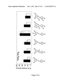 MOLECULARLY IMPRINTED POLYMERS diagram and image