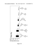 MOLECULARLY IMPRINTED POLYMERS diagram and image