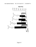 MOLECULARLY IMPRINTED POLYMERS diagram and image