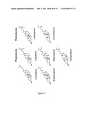 MOLECULARLY IMPRINTED POLYMERS diagram and image