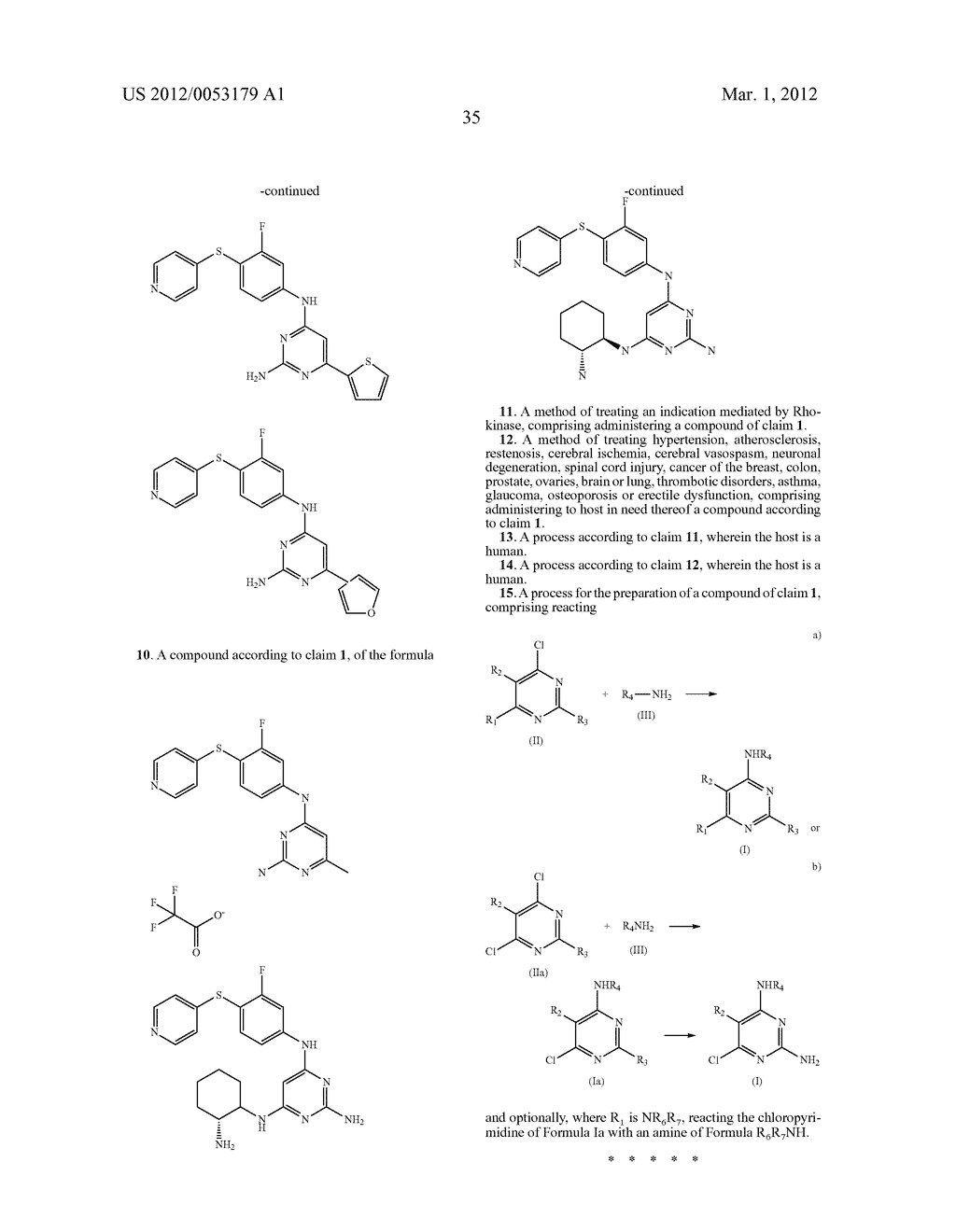 Rho-Kinase Inhibitors - diagram, schematic, and image 36
