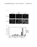 GENE TRANSFER AGENT COMPOSITION CONTAINING POLYAMIDOAMINE DENDRON diagram and image