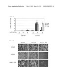 GENE TRANSFER AGENT COMPOSITION CONTAINING POLYAMIDOAMINE DENDRON diagram and image