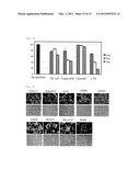 GENE TRANSFER AGENT COMPOSITION CONTAINING POLYAMIDOAMINE DENDRON diagram and image