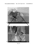 POLYMER SHELLS diagram and image