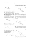 PREPARATION OF ALKYL ESTERS OF N-PROTECTED OXO-AZACYCLOALKYLCARBOXYLIC     ACIDS diagram and image