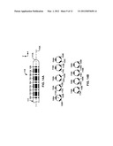 SYMMETRICAL PHYSIOLOGICAL SIGNAL SENSING WITH A MEDICAL DEVICE diagram and image