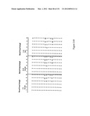 Method and system for projecting regulated development outcomes diagram and image