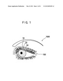 Artificial eyelash and method for attaching the same diagram and image