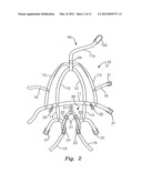 Safety Harness diagram and image