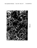 POLYSACCHARIDE PSEUDO-SPONGE diagram and image