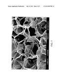 POLYSACCHARIDE PSEUDO-SPONGE diagram and image