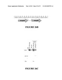 MSP NANOPORES AND RELATED METHODS diagram and image