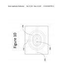 Unitary Biochip Providing Sample-in to Results-out Processing and Methods     of Manufacture diagram and image