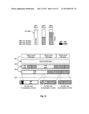 LOGICAL CHANNEL PRIORITIZATION PROCEDURE FOR GENERATING MULTIPLE UPLINK     TRANSPORT BLOCKS diagram and image