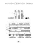 LOGICAL CHANNEL PRIORITIZATION PROCEDURE FOR GENERATING MULTIPLE UPLINK     TRANSPORT BLOCKS diagram and image