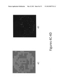 System and method for fluorescence guided ingredient specific particle     sizing diagram and image
