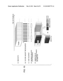 INFORMATION PROCESSING DEVICE, INFORMATION PROCESSING METHOD, AND PROGRAM diagram and image