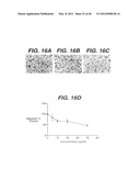 ANTI- INTEGRIN ANTIBODIES, COMPOSITIONS, METHODS AND USES diagram and image