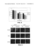 COMPOSITIONS AND METHODS FOR DIAGNOSING, TREATING, AND PREVENTING PROSTATE     CONDITIONS diagram and image