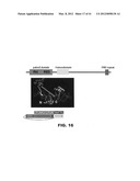 COMPOSITIONS AND METHODS FOR DIAGNOSING, TREATING, AND PREVENTING PROSTATE     CONDITIONS diagram and image