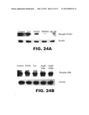 COMPOSITIONS AND METHODS FOR DIAGNOSING, TREATING, AND PREVENTING PROSTATE     CONDITIONS diagram and image