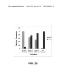 COMPOSITIONS AND METHODS FOR DIAGNOSING, TREATING, AND PREVENTING PROSTATE     CONDITIONS diagram and image