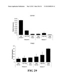 COMPOSITIONS AND METHODS FOR DIAGNOSING, TREATING, AND PREVENTING PROSTATE     CONDITIONS diagram and image